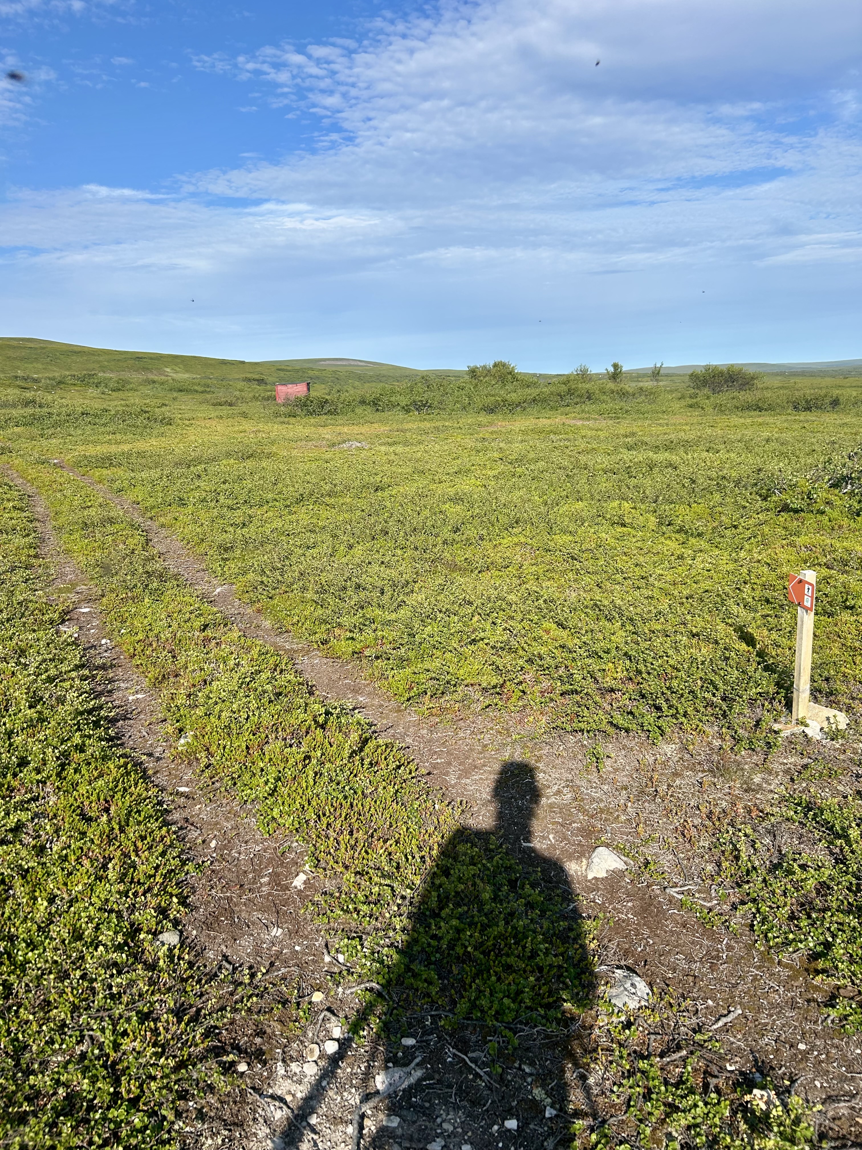 Foto: Charlotte Tveiten