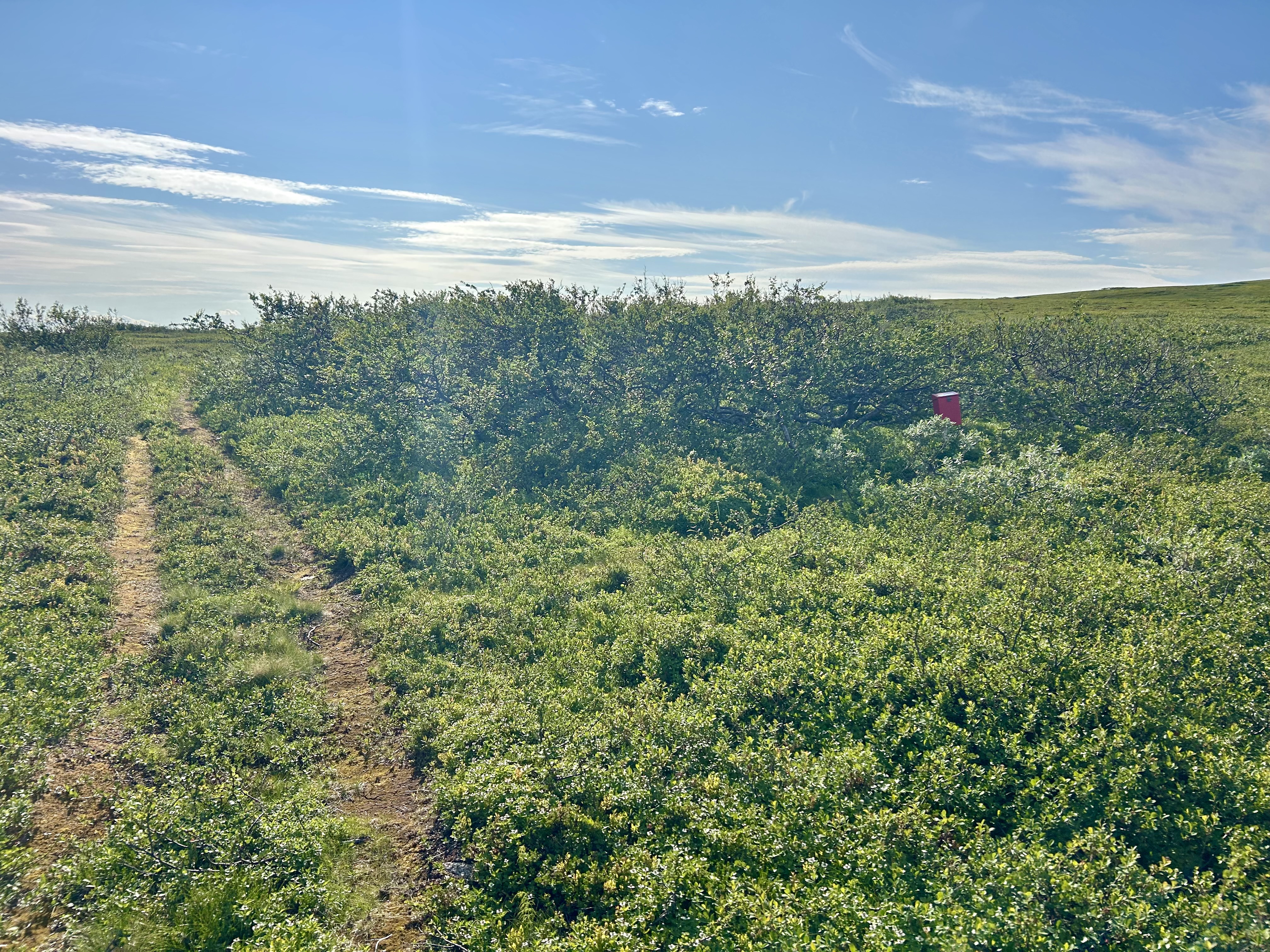 Foto: Charlotte Tveiten